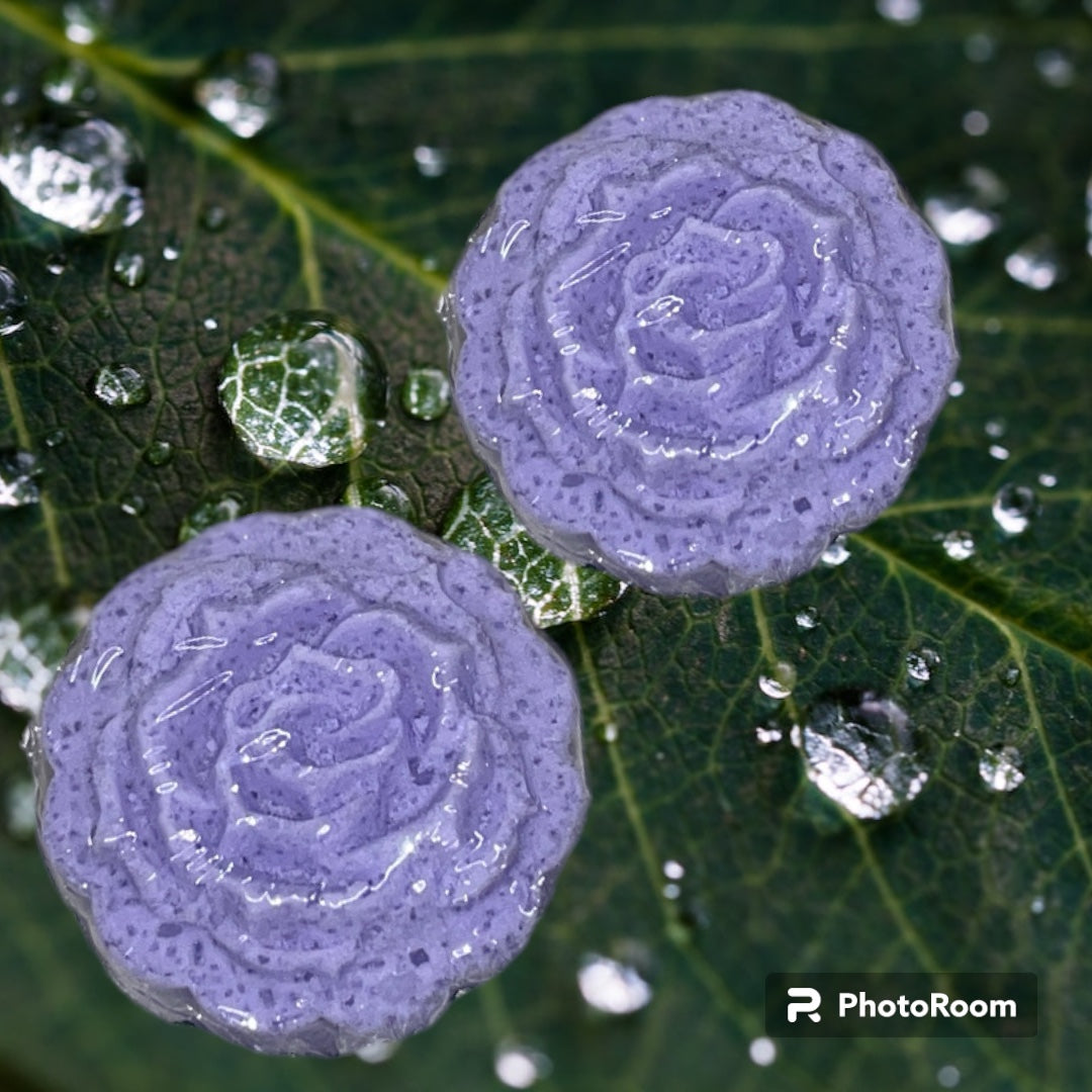 Shower Steamers (2 pk)