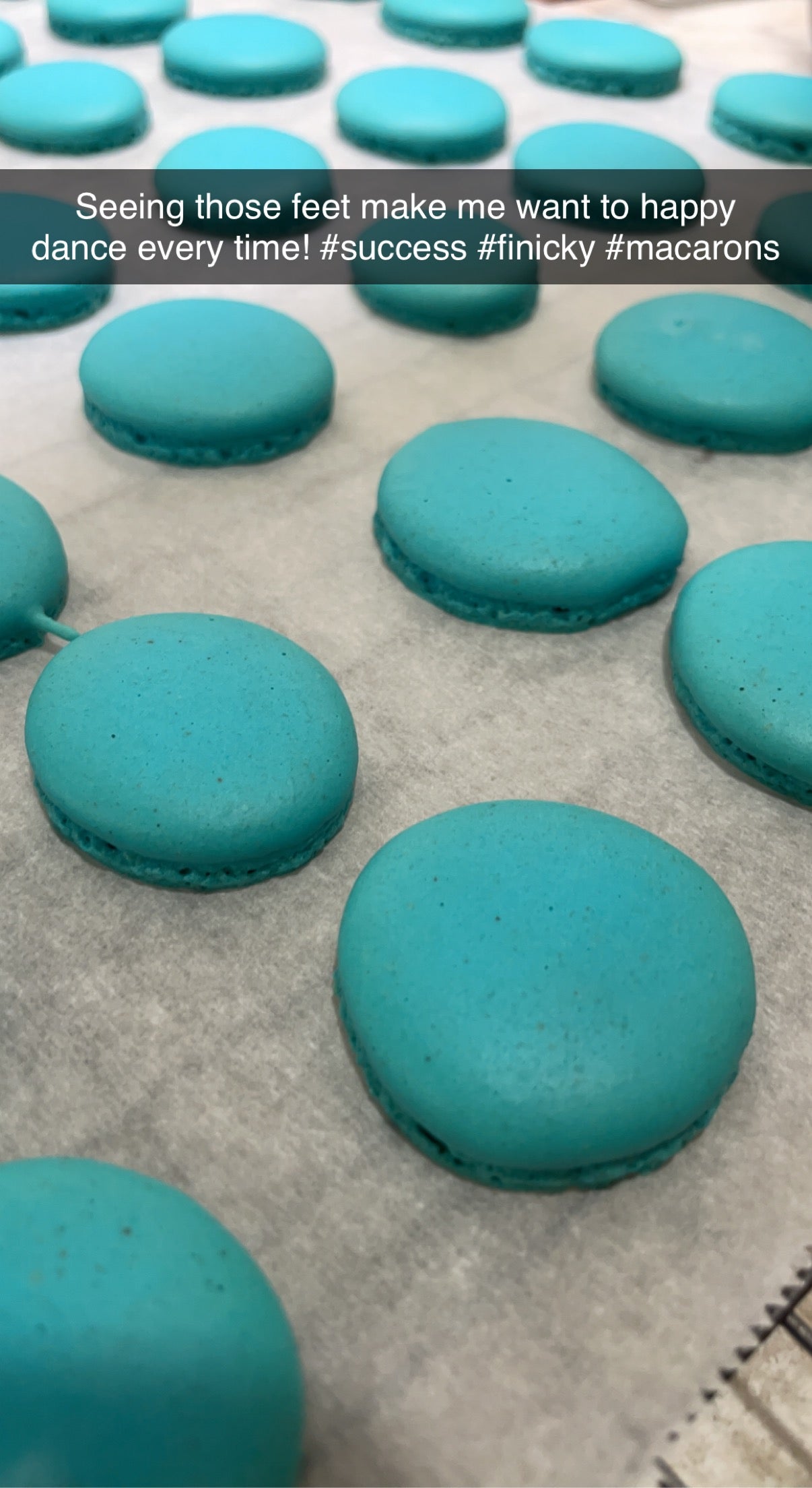Assorted Macarons-preorder FM