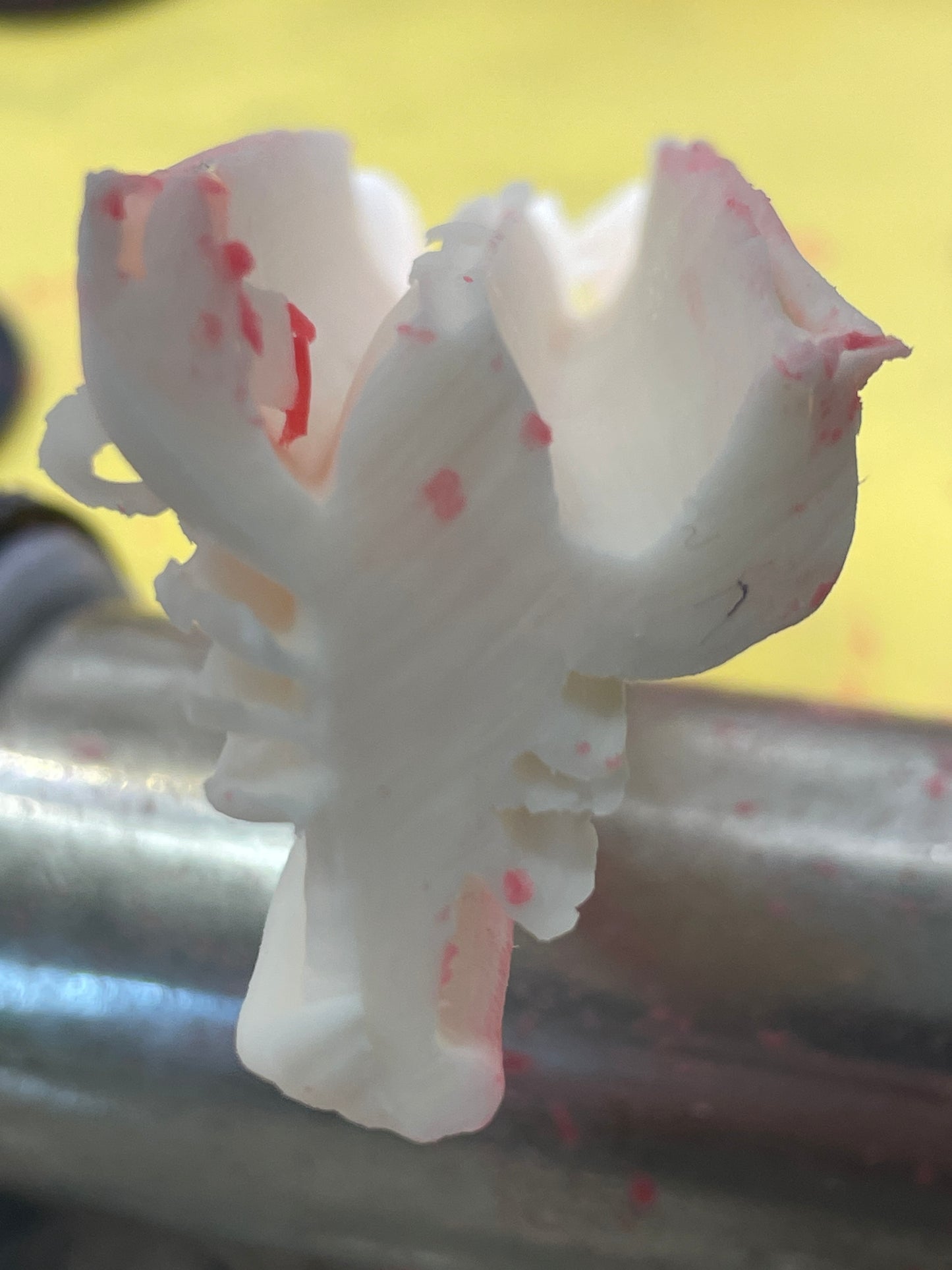State Extruder Disc